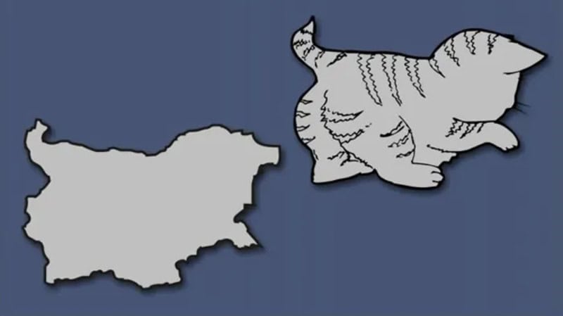 A cutout of a cat shape next to a map of Turkey.