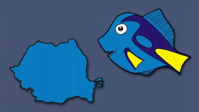 Fish with a map of Lithuania as its body, from Guy Reimagines European Countries Based On What Their.