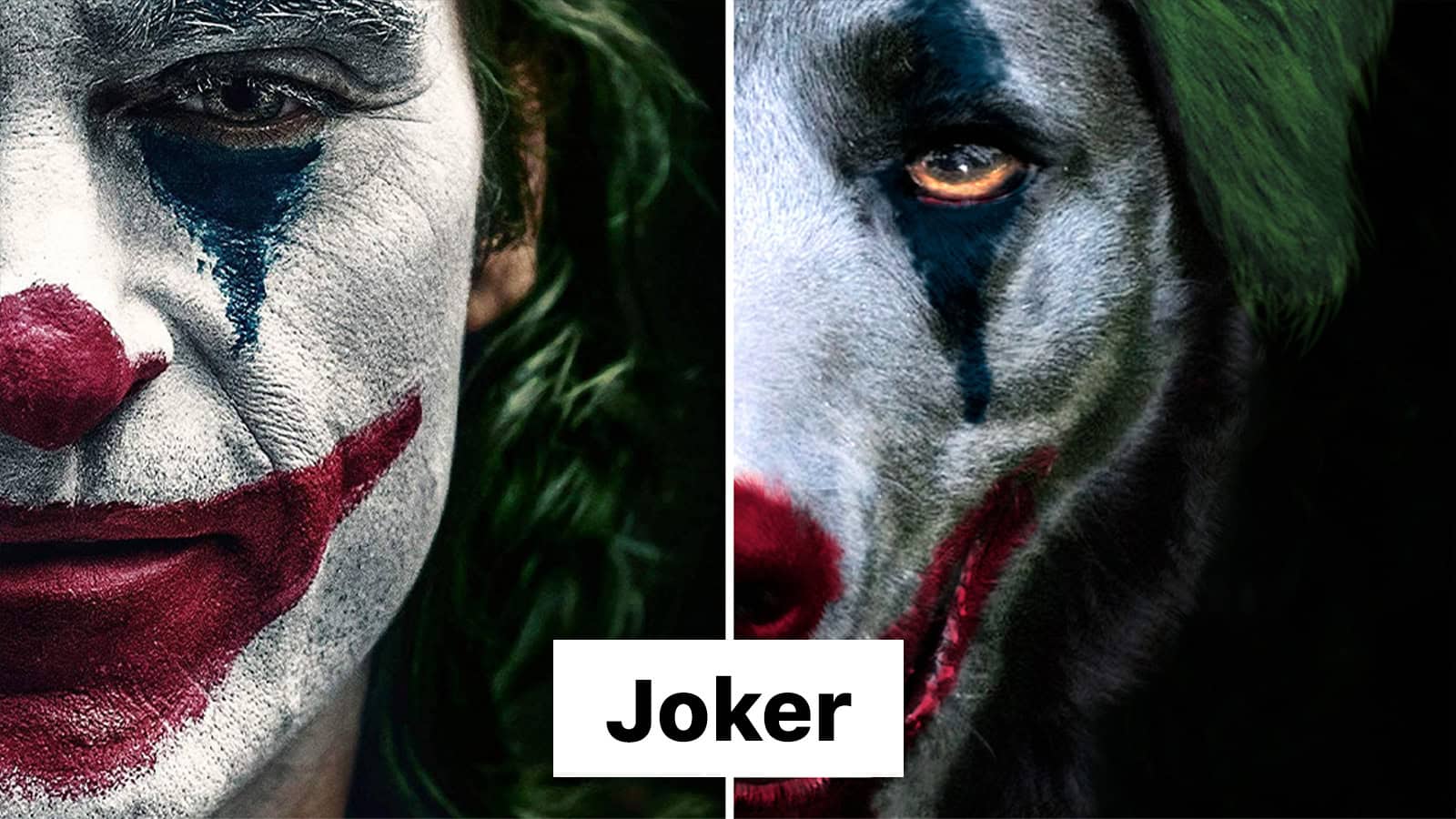 Close-up of Joker with clown makeup and a dog with clown makeup, both with intense expressions.