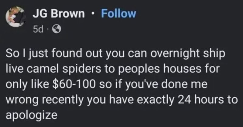 Screenshot of a social media post about shipping live camel spiders to people's houses.