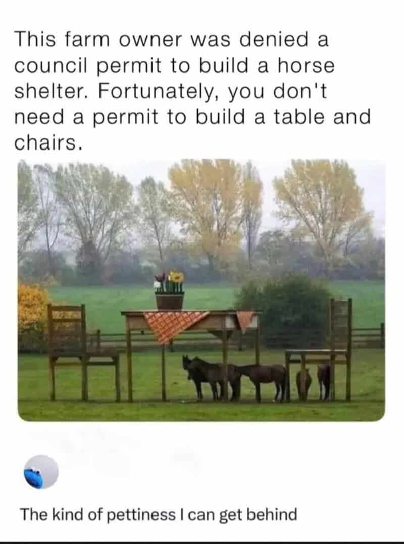 Farm scene with table, chairs, and horses, with a humorous caption about petty revenge.