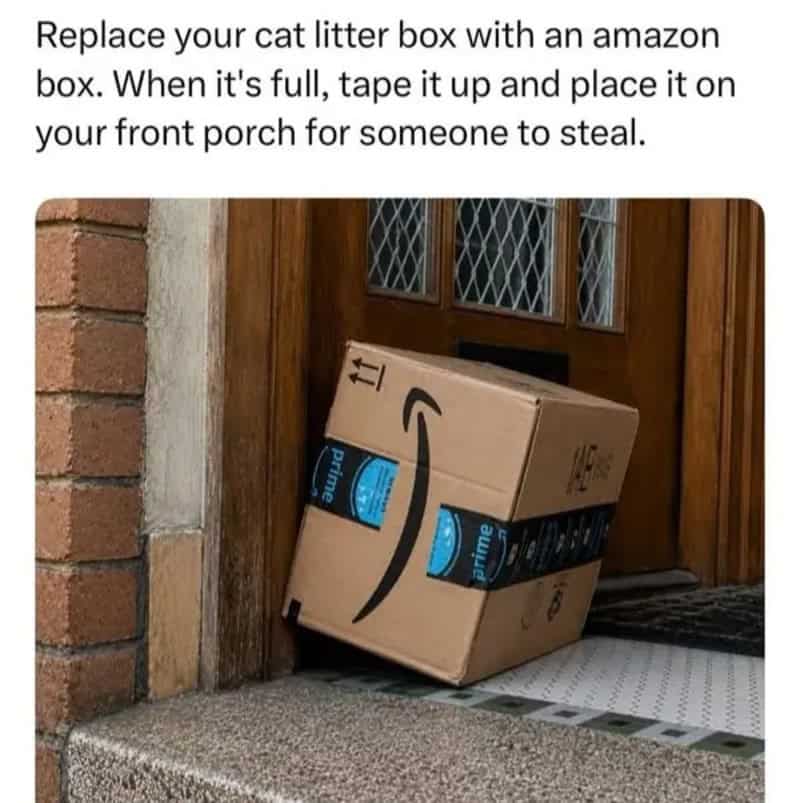 Amazon box placed on front porch, leaning against door, as a petty revenge act.