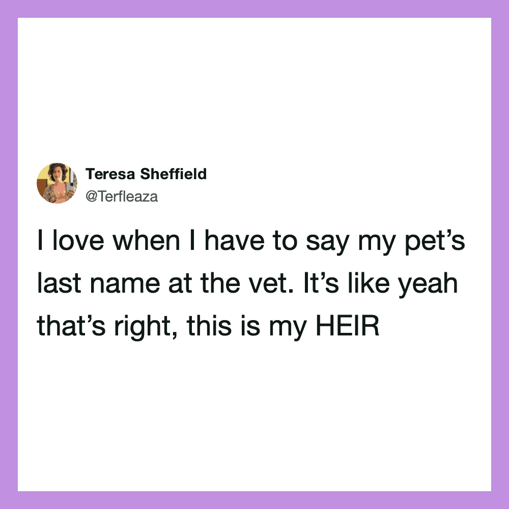 Teresa Sheffield's tweet about saying her pet's last name at the vet.