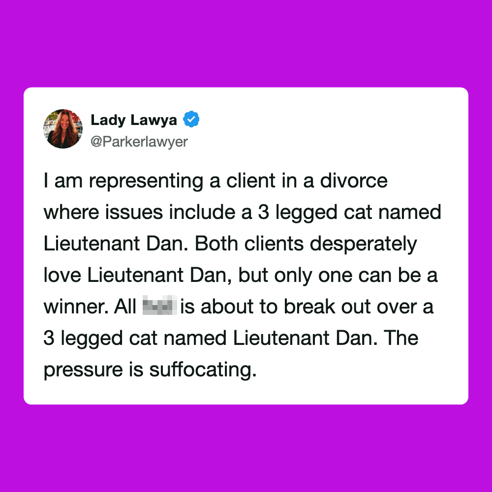 Lady Lawya's tweet about a client in a divorce involving a 3-legged cat named Lieutenant Dan.