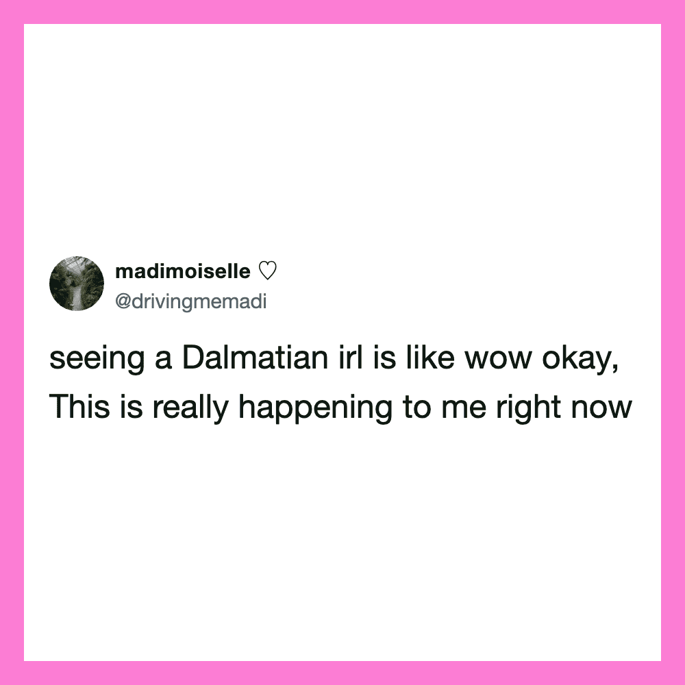 Tweet about seeing a Dalmatian in real life, expressing surprise and excitement.