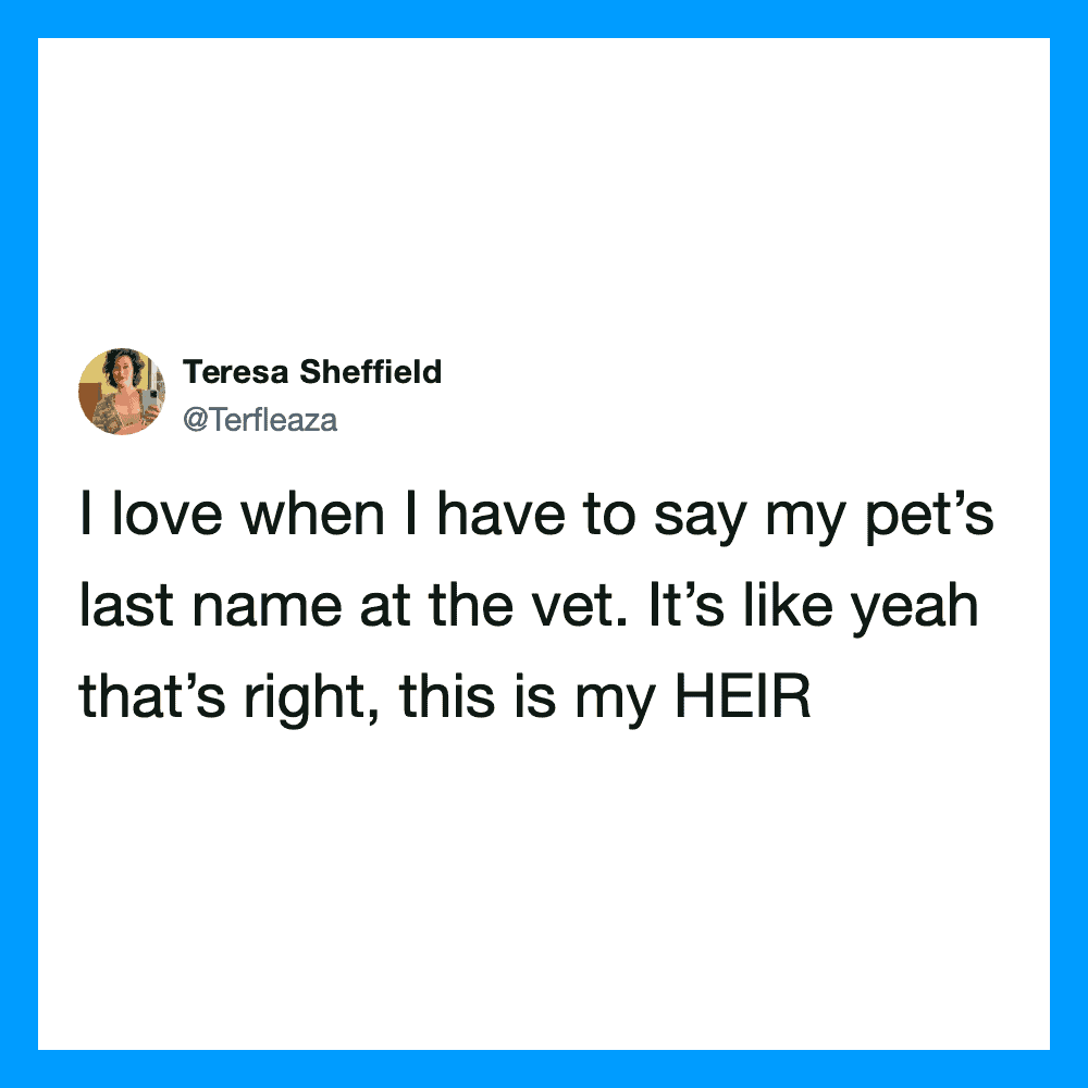 Teresa Sheffield's tweet about saying her pet's last name at the vet.