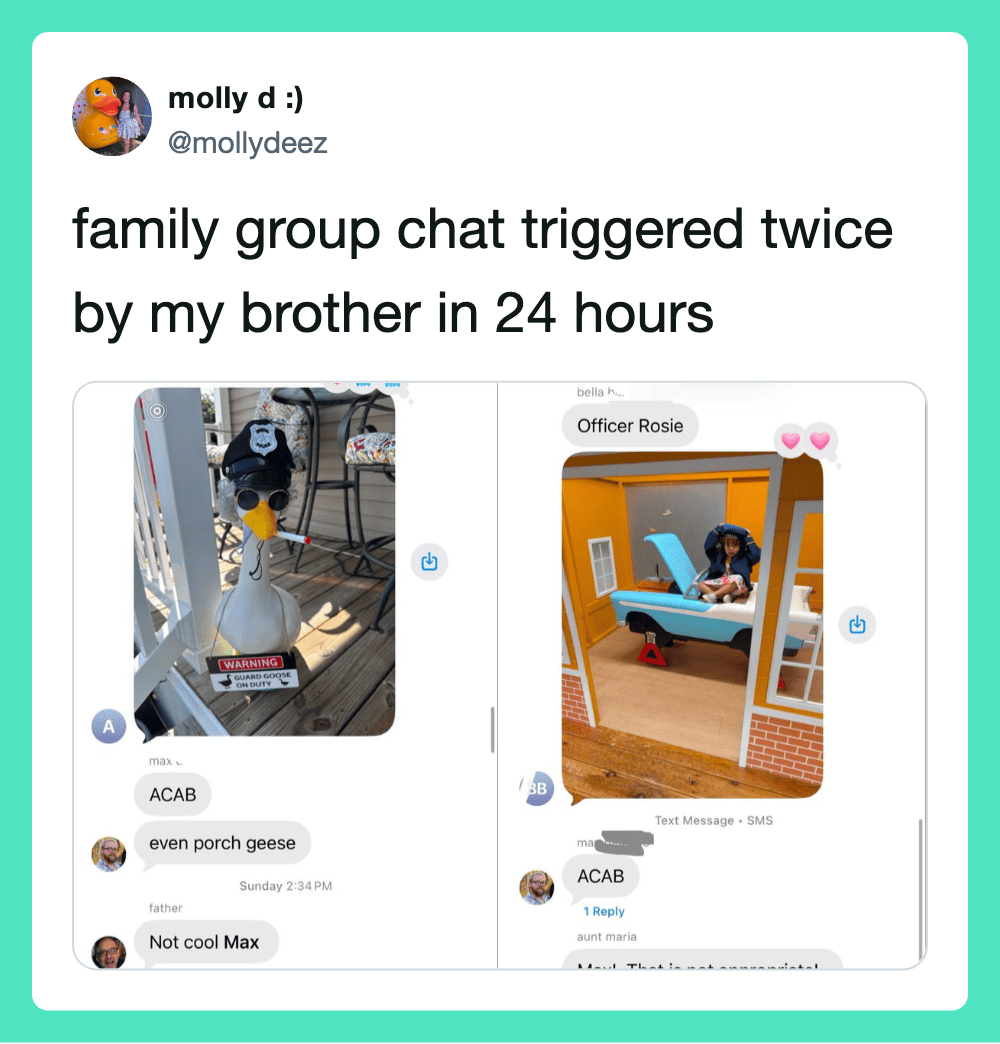 Family group chat triggered twice by brother in 24 hours, with images of a goose and a dollhouse.