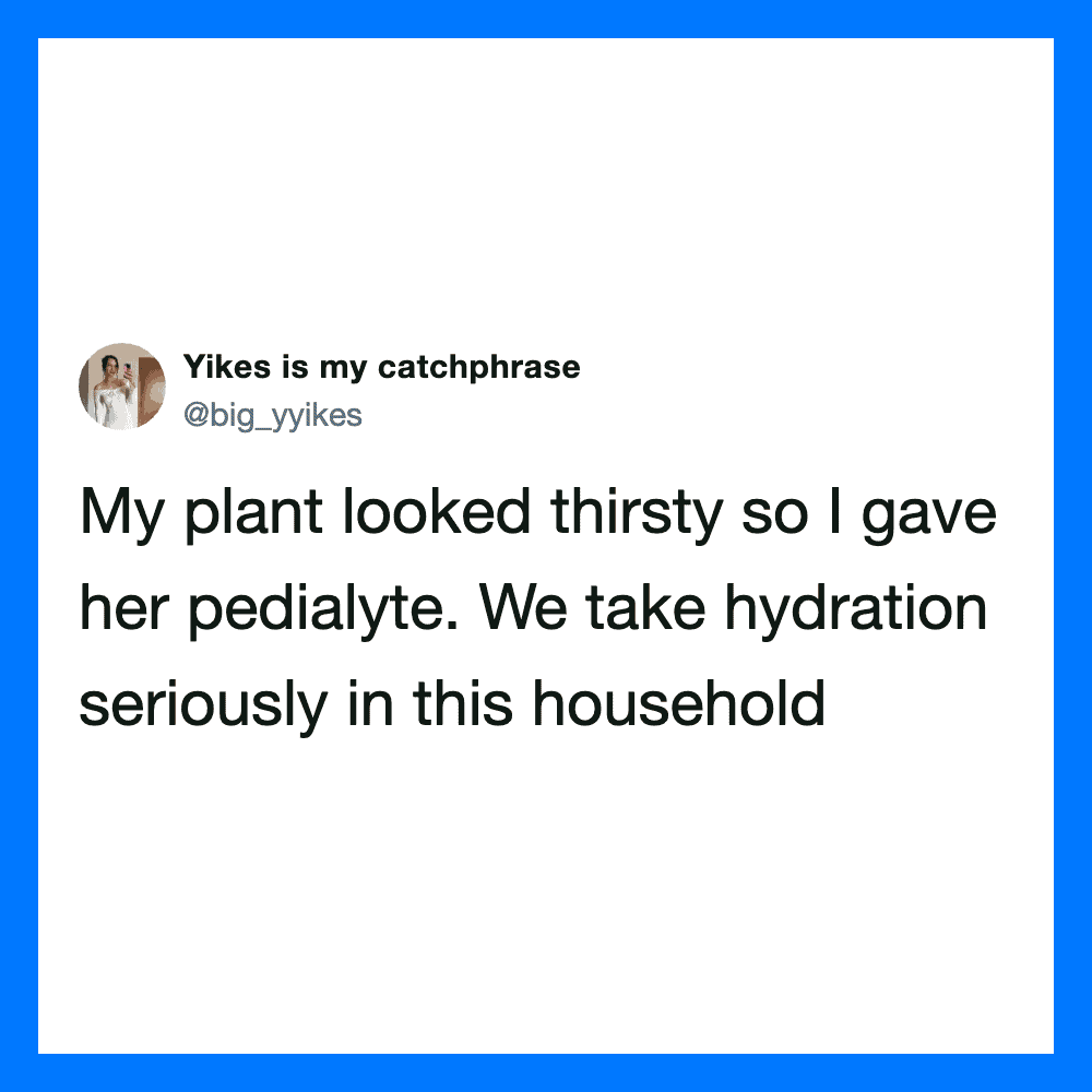 Twitter post about giving a pedialyte to a thirsty plant.