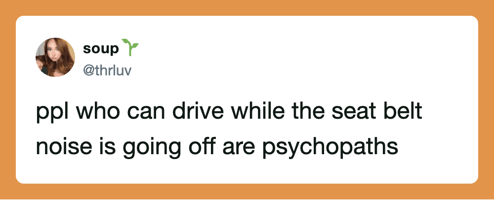 People who can drive while seat belt noise is going off are psychopaths.