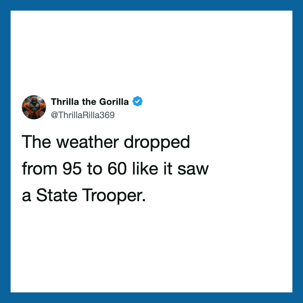 Thrilla the Gorilla's tweet about weather dropping from 95 to 60.