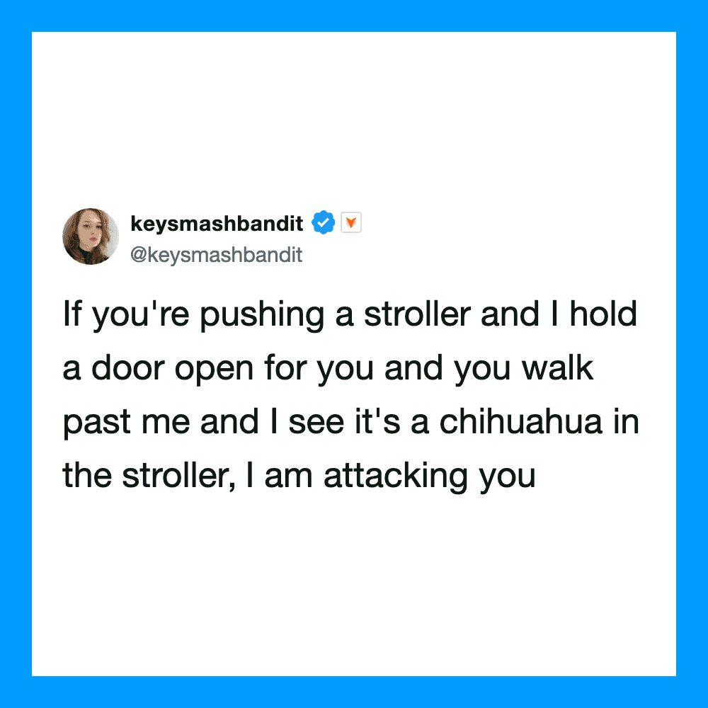 Twitter post by keysmashbandit about pushing a stroller and a Chihuahua.