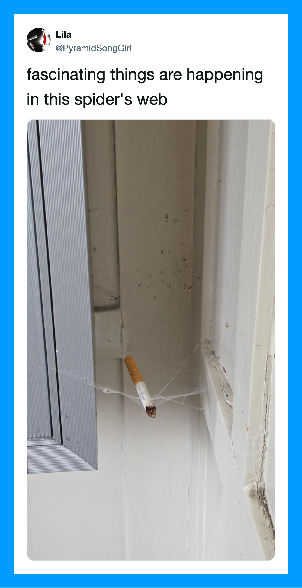 A cigarette caught in a spider's web in a corner of a room.