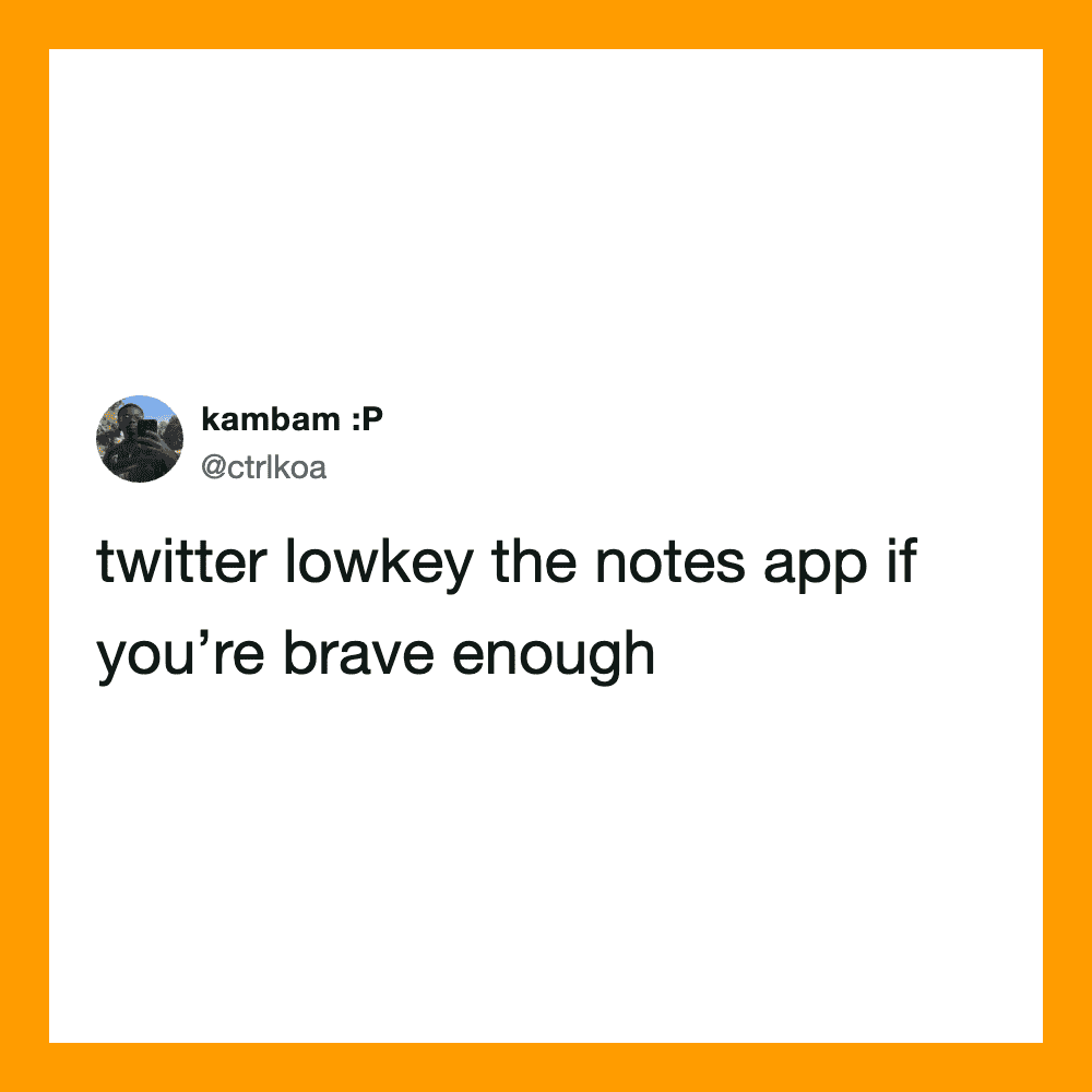 Twitter lowkey the notes app if you're brave enough.