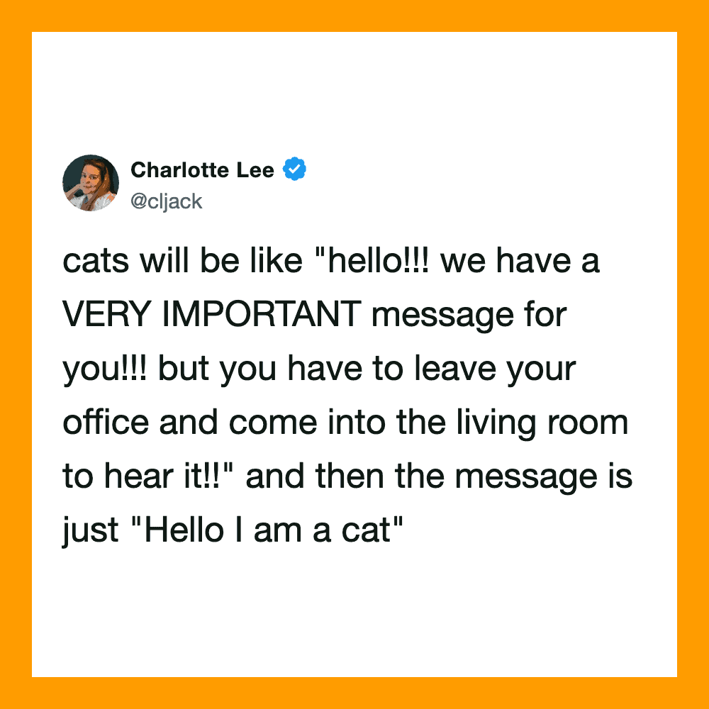 Charlotte Lee's tweet about cats and their messages.