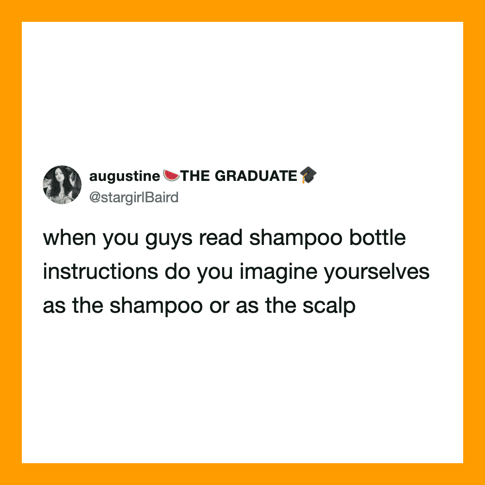 Tweet about reading shampoo bottle instructions and imagining oneself as the shampoo or scalp.