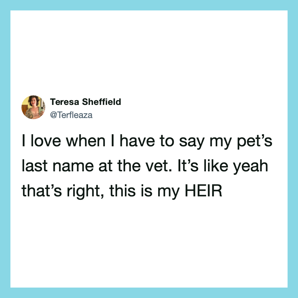 Teresa Sheffield's tweet about saying her pet's last name at the vet.
