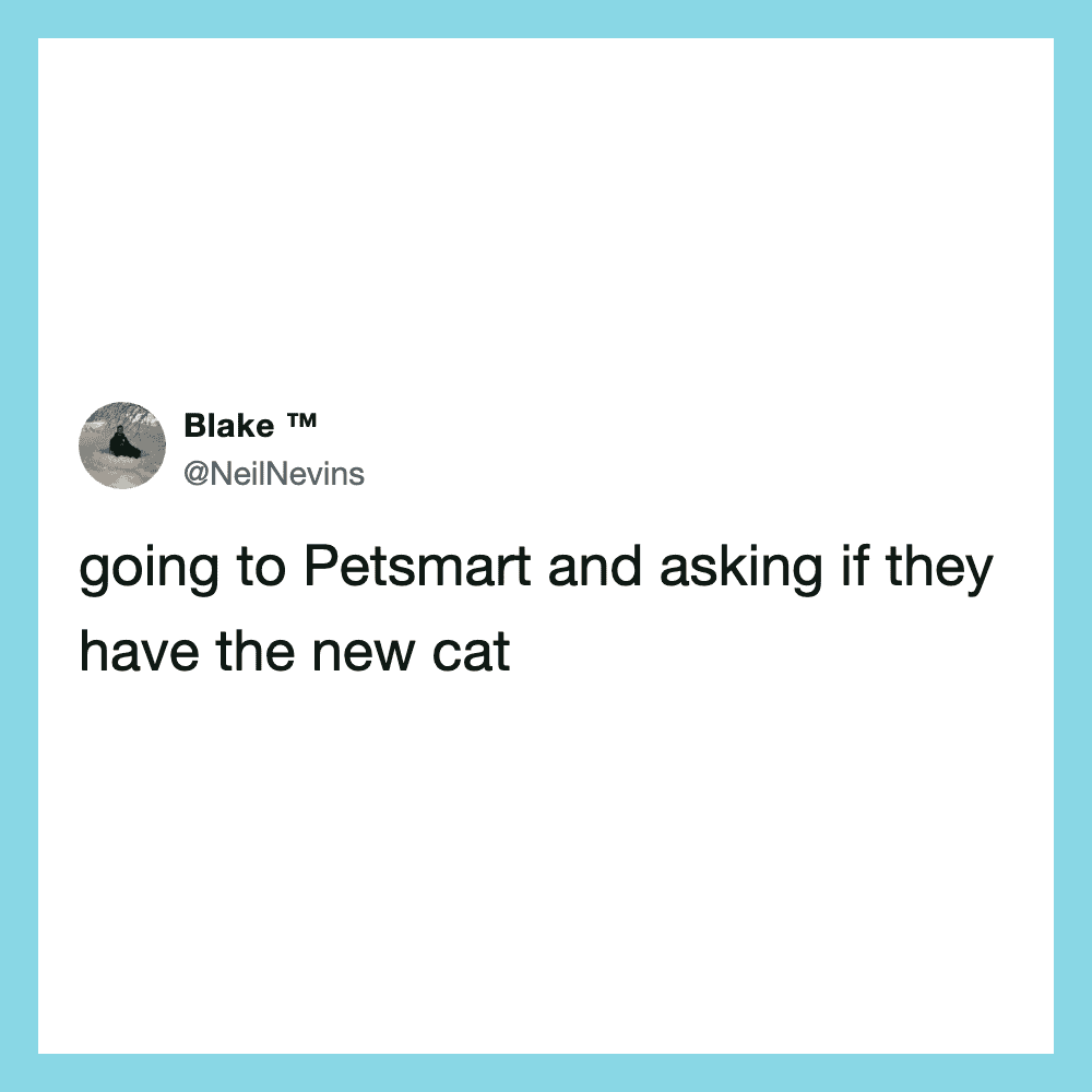 Tweet about going to Petsmart to ask if they have the new cat.