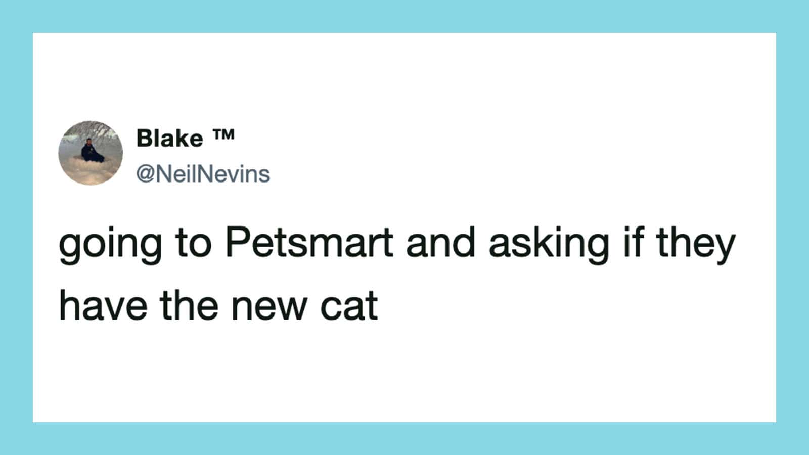 Tweet by Blake about Petsmart and asking if they have the new cat.
