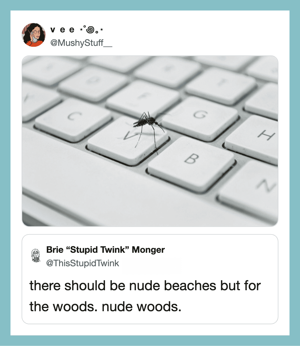 Close-up of a mosquito on a white keyboard with the tweet text below.