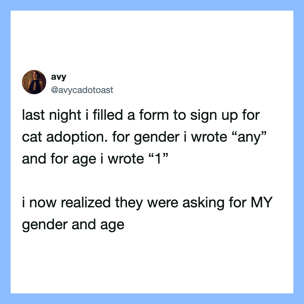 A tweet about filling a form for cat adoption, writing 'any' for gender and '1' for age.