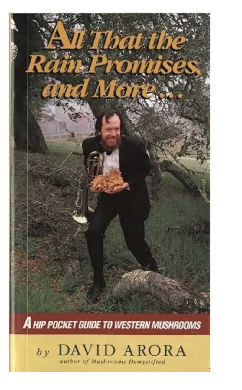 Book cover titled 'All That the Rain Promises and More...' by David Arora.