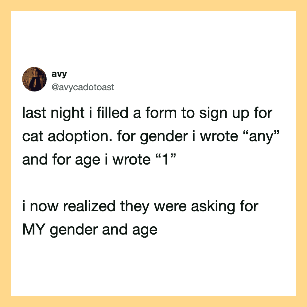 Social media post about filling a form for cat adoption, mentioning gender and age.