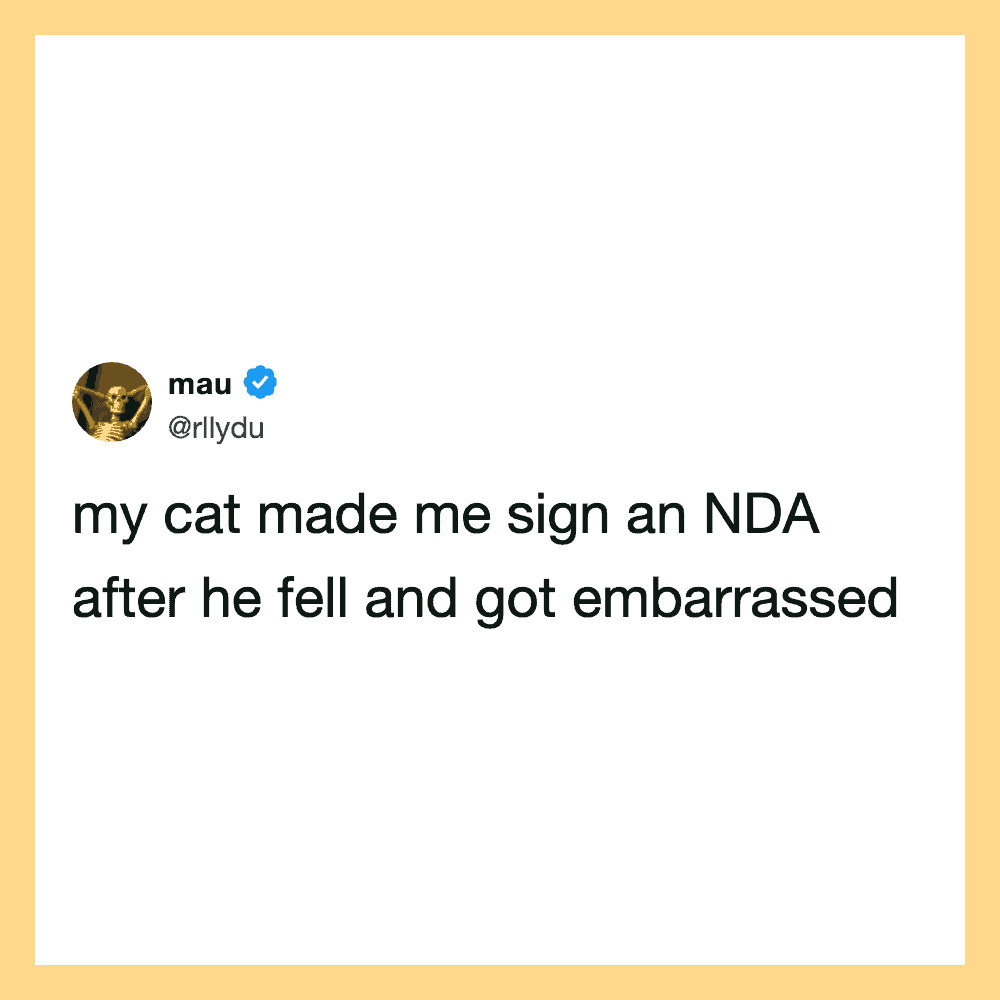 My cat made me sign an NDA after he fell and got embarrassed.