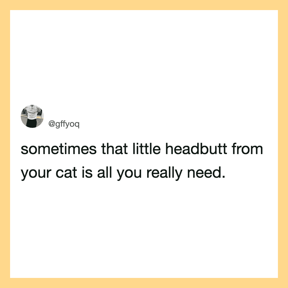 Sometimes that little headbutt from your cat is all you really need.