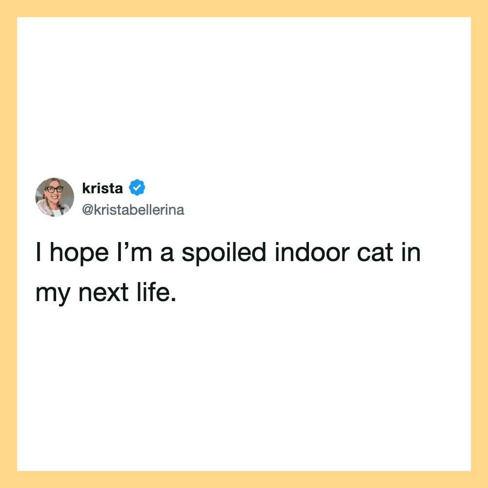I hope I’m a spoiled indoor cat in my next life.
