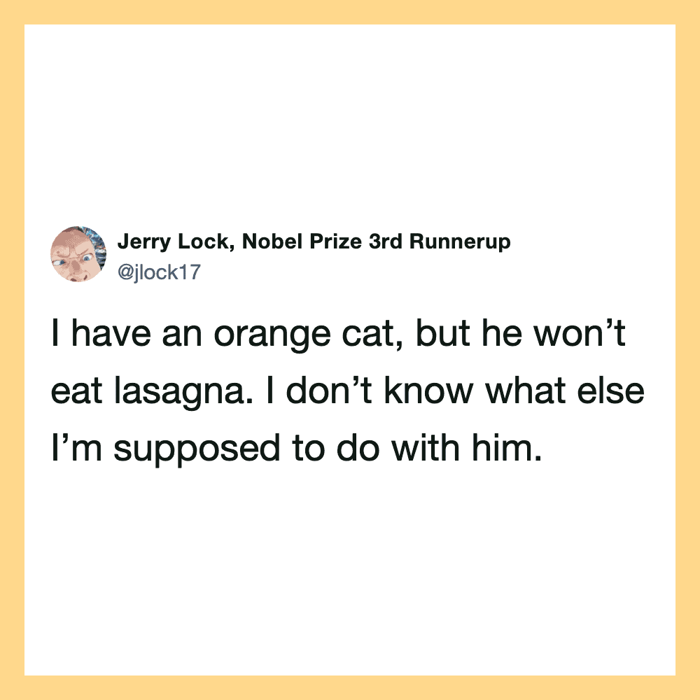 Twitter post about an orange cat that won't eat lasagna.