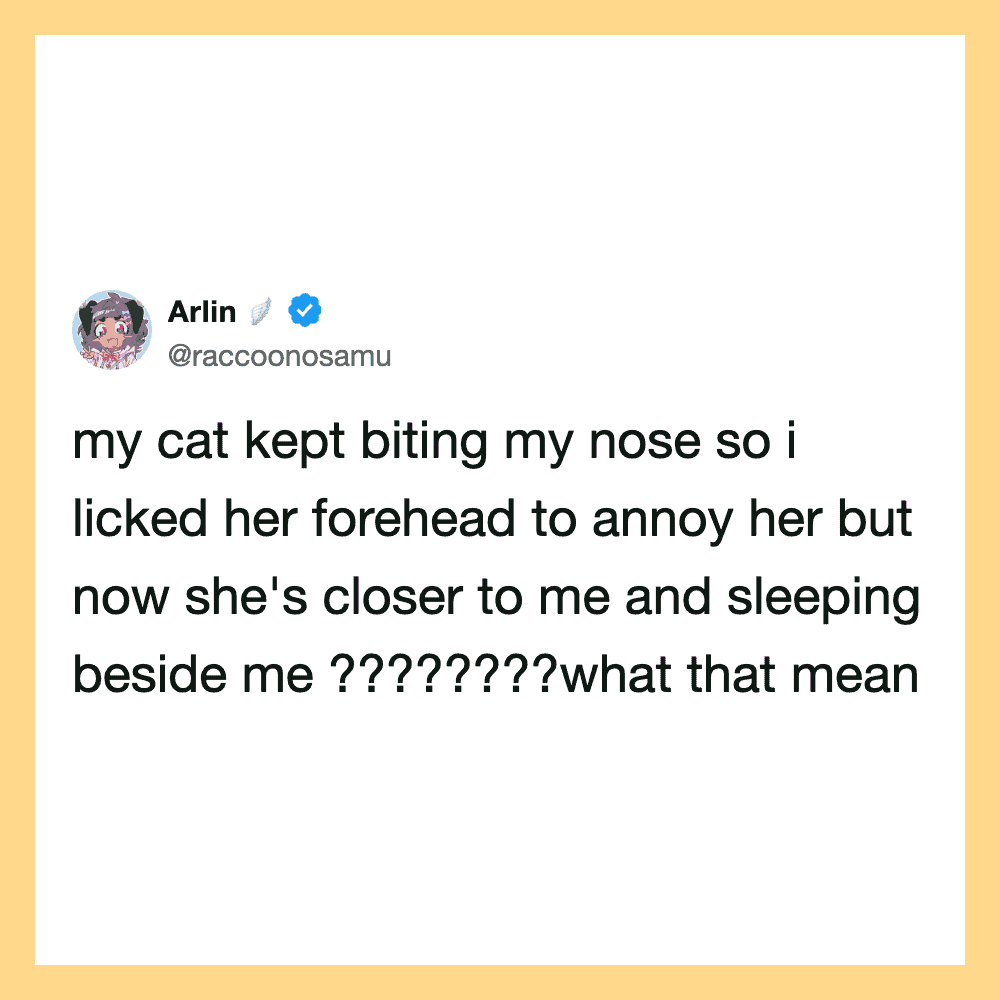 Tweet by Arlin about her cat biting her nose and licking her forehead.