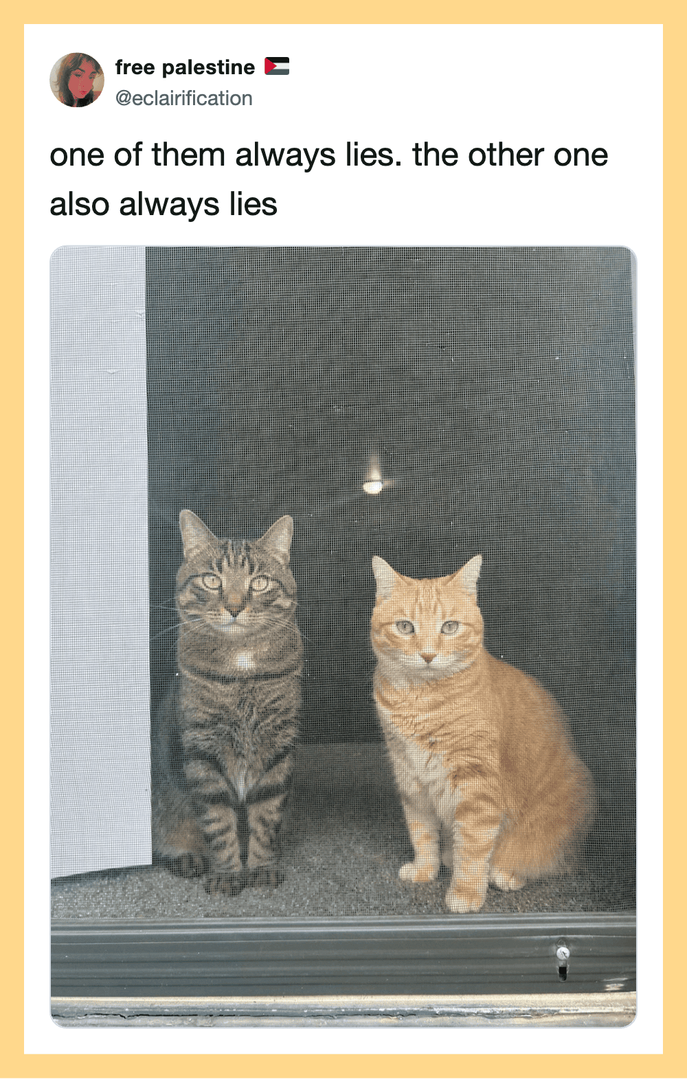 Two cats sitting side by side, one gray and one orange, with a dark background.