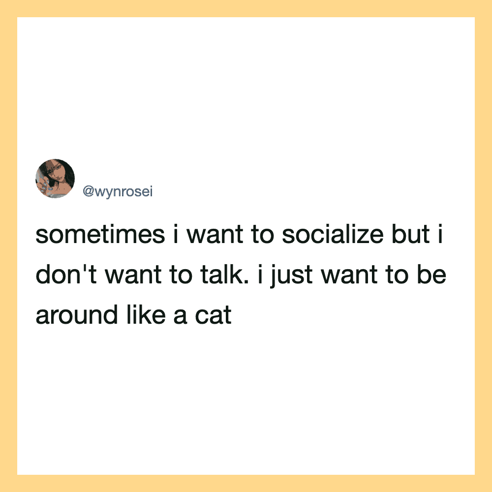 A tweet by @wynrosei about wanting to socialize but preferring to be like a cat.