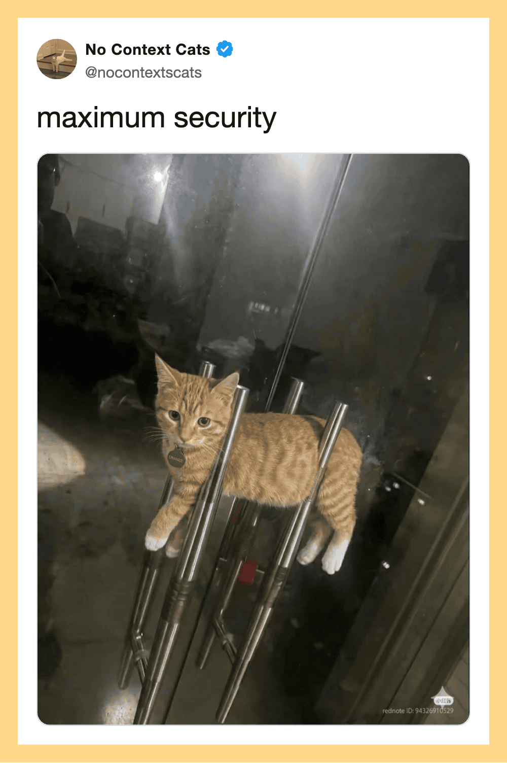 Orange cat sitting on glass door with metal handles, caption 'maximum security'.