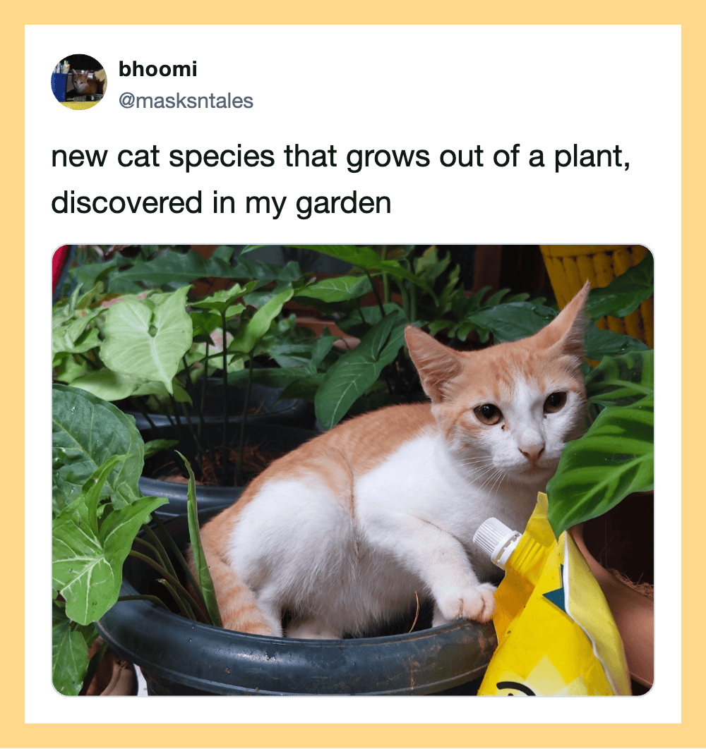 A cat sitting in a plant pot among green leaves, with a yellow bag nearby.