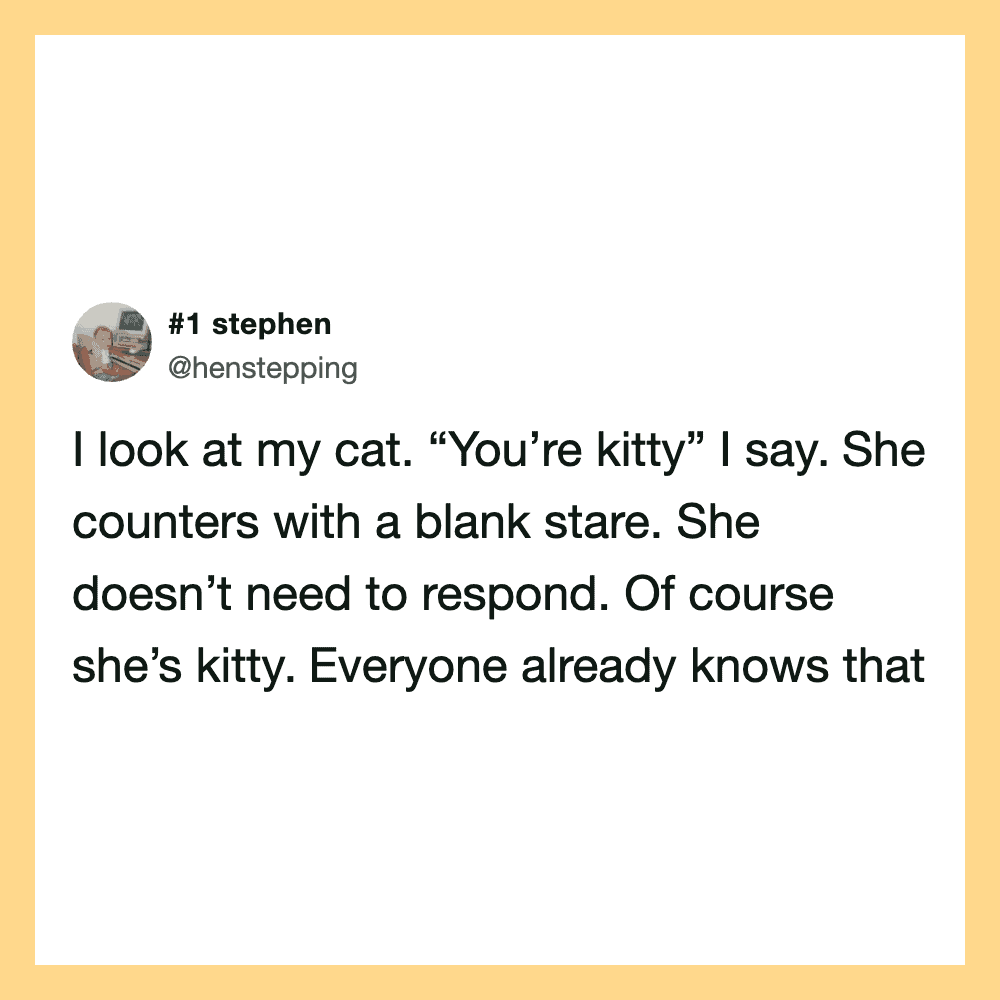 A tweet from @henstepping about a cat ignoring a comment.