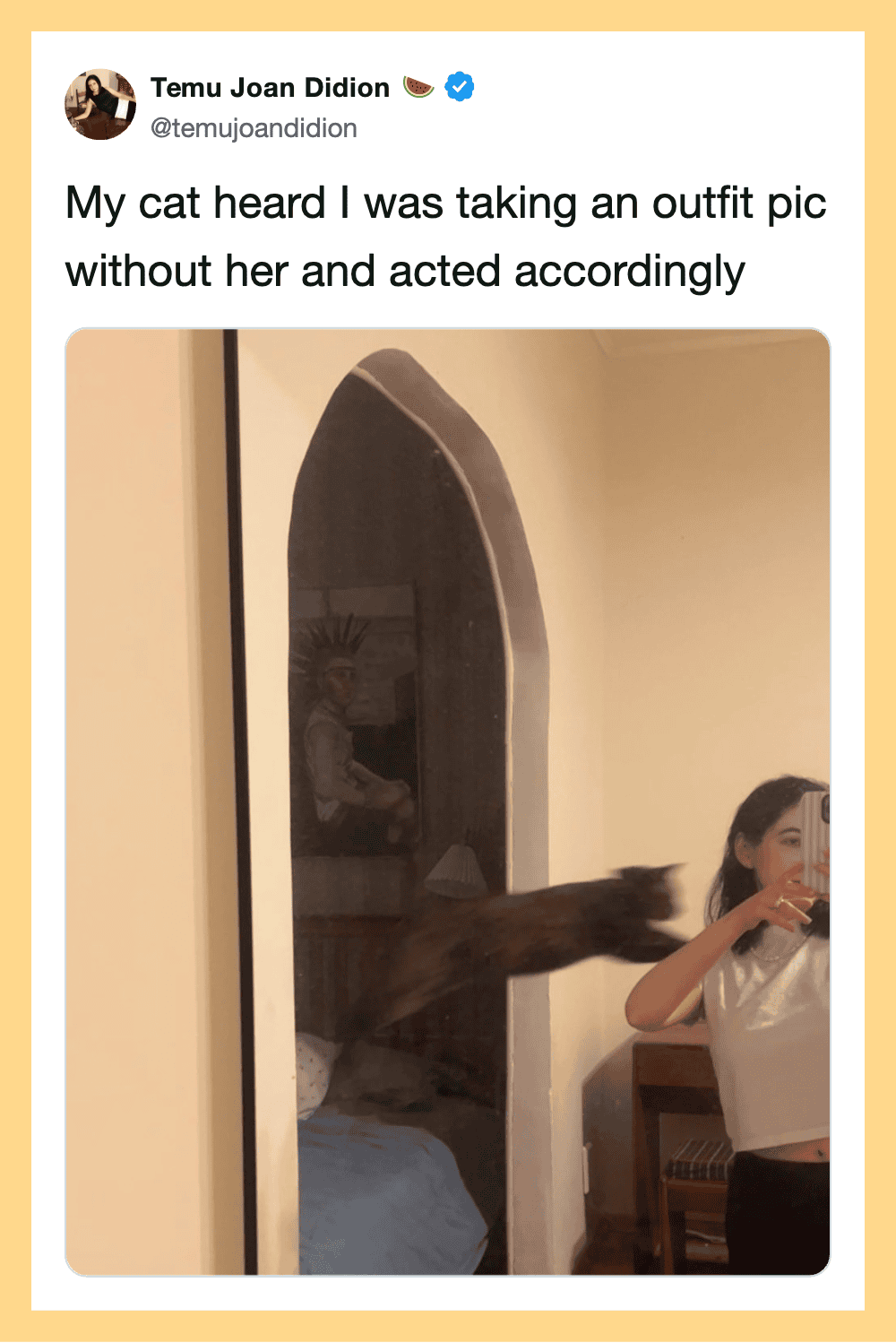 Cat appears to be reaching out to a person in a mirror reflection.