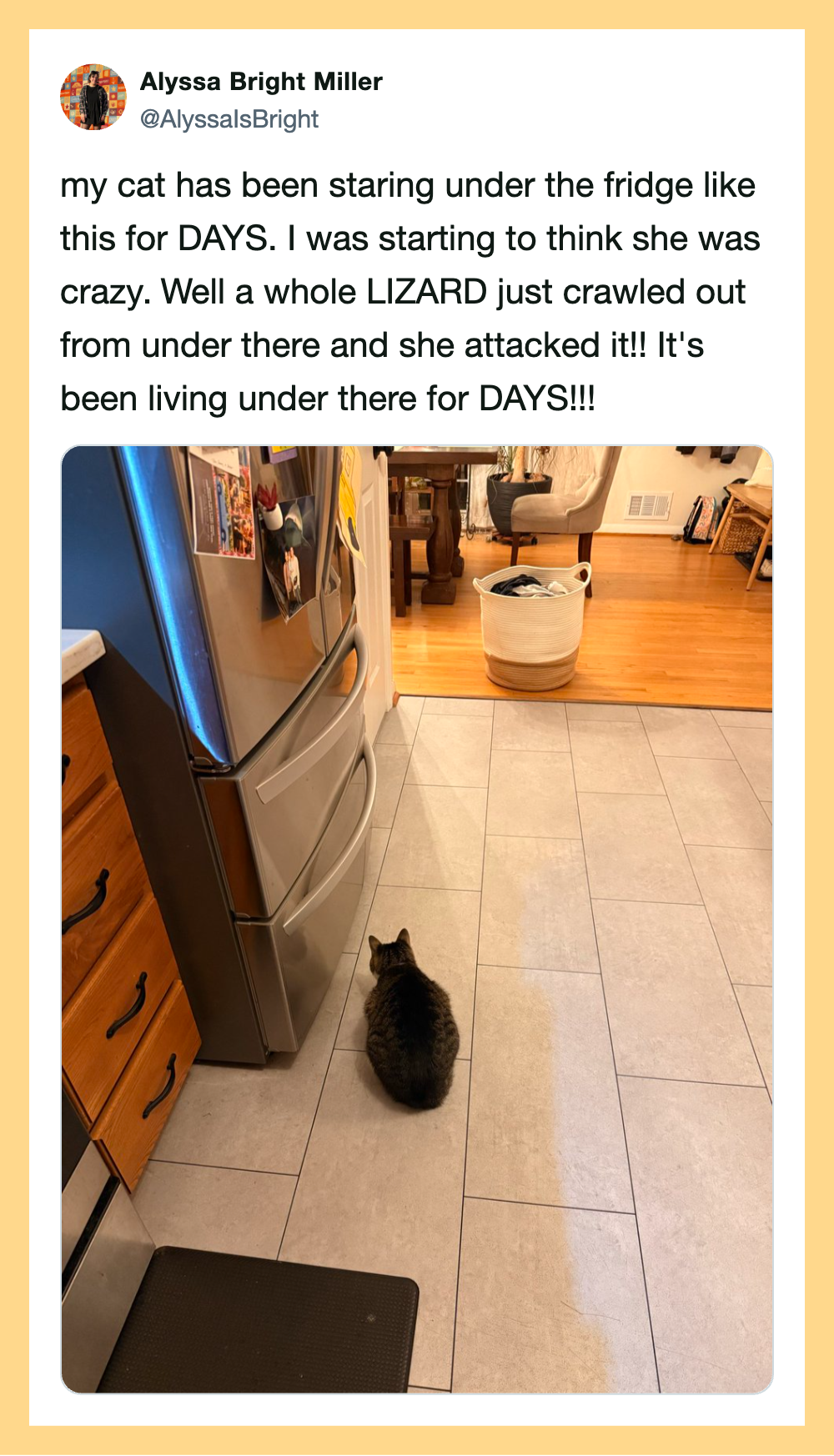 Cat sitting under the fridge, looking up, in a kitchen.