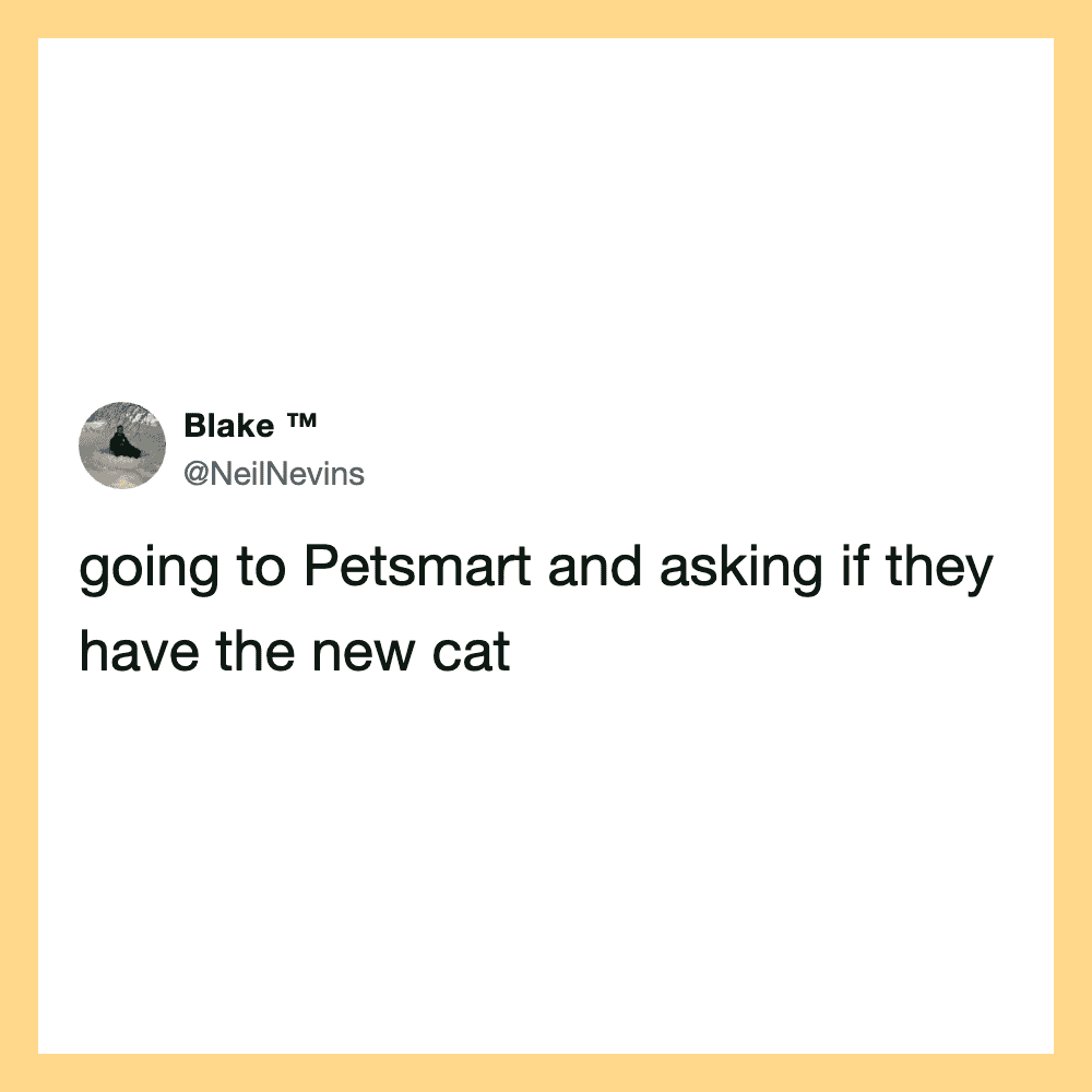Tweet about going to Petsmart to ask about a new cat.