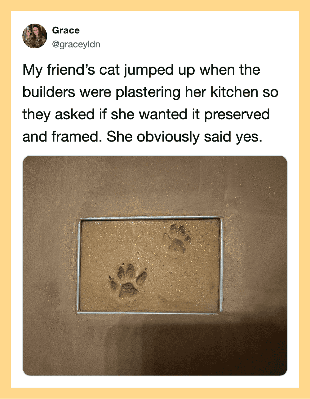 Cat paw prints in a framed section of sand on a brown floor.