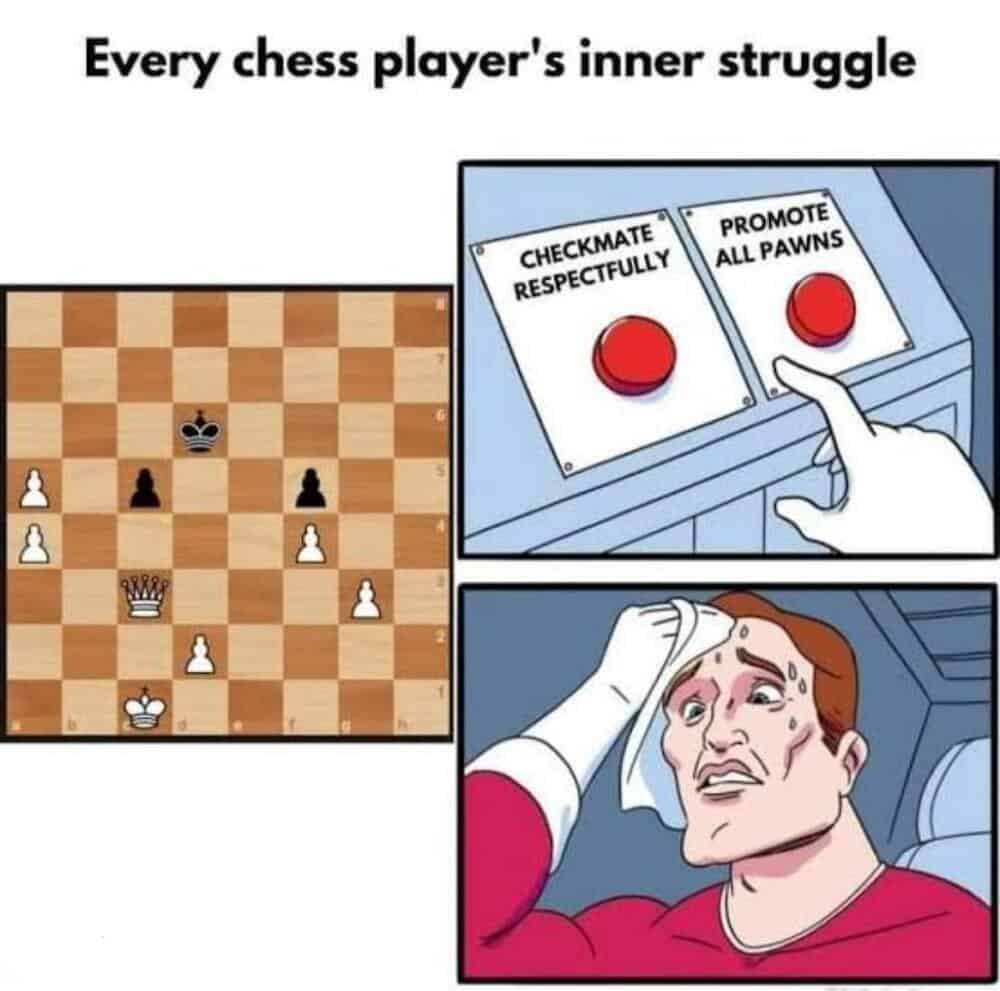 Chess meme showing a chessboard and two buttons: 'Checkmate Respectfully' and 'Promote All Pawns'.