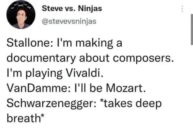 Steve vs. Ninjas meme about composers, featuring Stallone, VanDamme, and Schwarzenegger.
