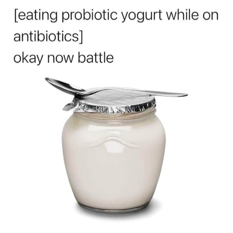 Eating probiotic yogurt while on antibiotics, okay now battle.
