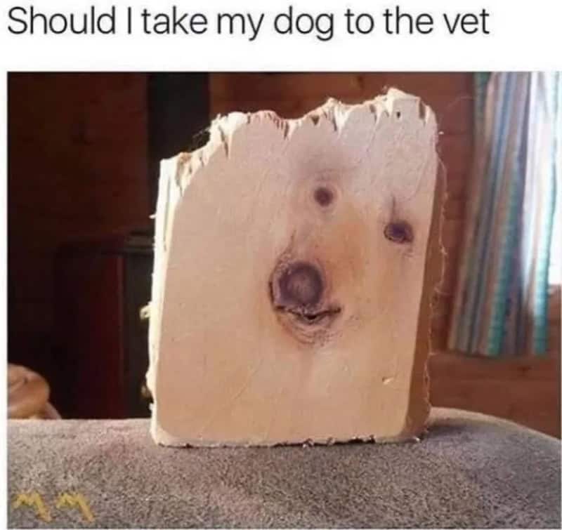 A piece of wood with a face-like pattern resembling a dog's face.
