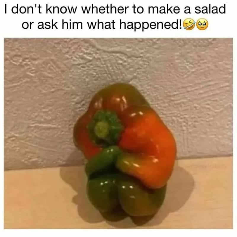 Funny image of a bell pepper resembling a face with a caption about salad or asking what happened.