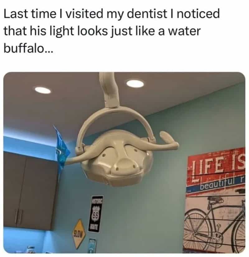 Ceiling light fixture looks like a water buffalo's face.