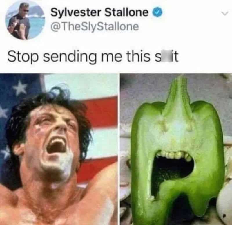 Image shows Sylvester Stallone and a green bell pepper with facial features.