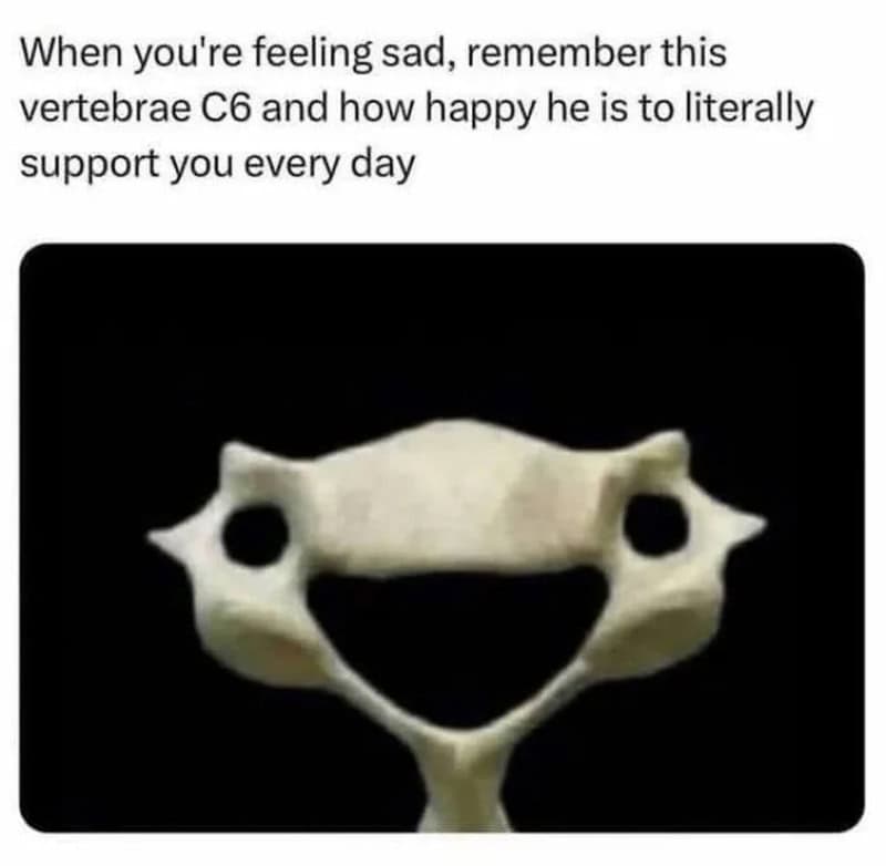 Humorous image of vertebrae C6 resembling a smiling face with text about support.