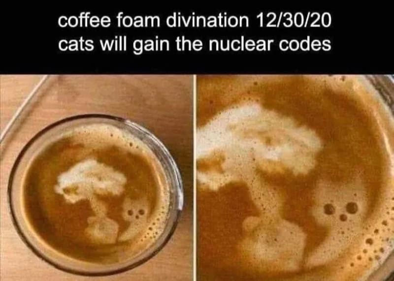 Coffee foam forms a nuclear explosion shape with text about cats gaining nuclear codes.