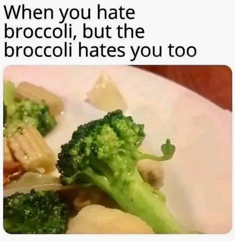When you hate broccoli, but the broccoli hates you too.